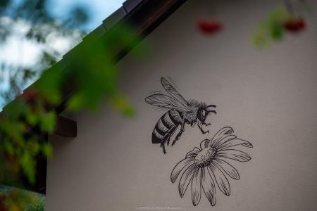 CEBELARJI (33 of 43)